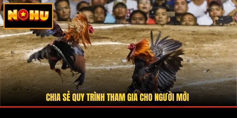 Chia sẻ quy trình tham gia cho người mới